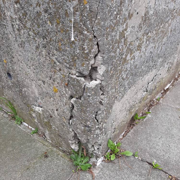 Group MDS | Betonrot